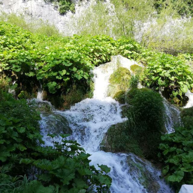 Chalet Rustikal Villa Virgen Bagian luar foto